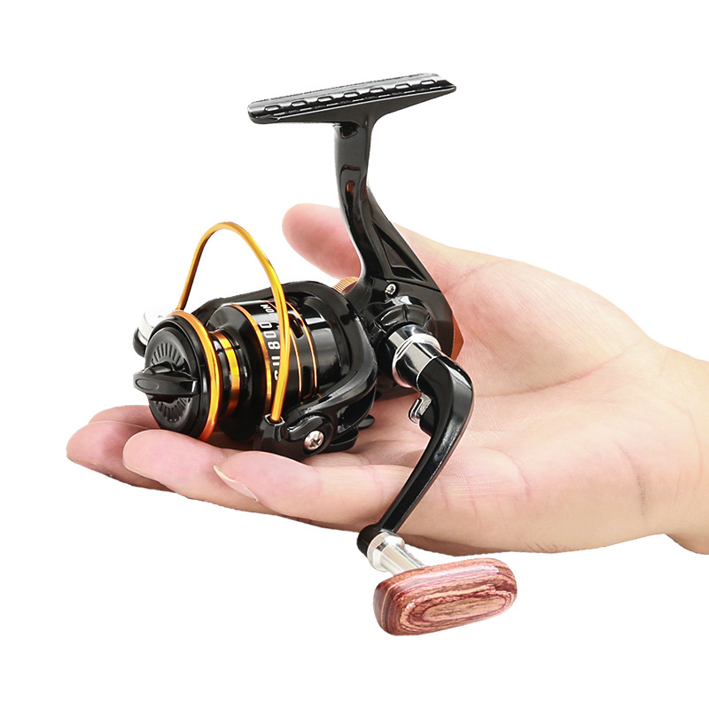Daiwa Reel Bg - 800シリーズ小型スピニングフィッシングリールメタルコイル5KG最大ドラグアイスルアー海水淡水小型釣り用リール